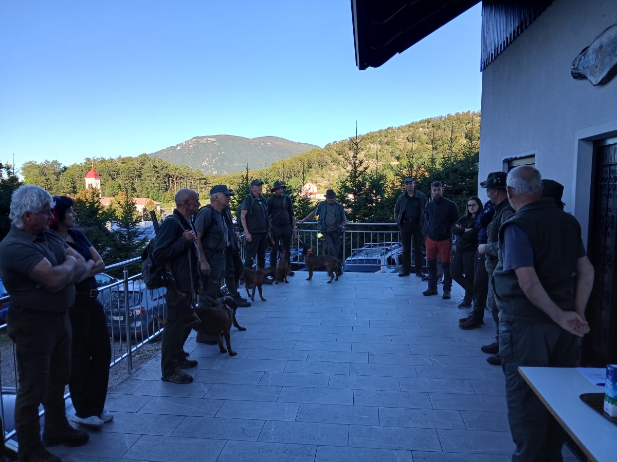 UP PO UMETNI KRVNI SLEDI V LD KOZJE STENA 2025