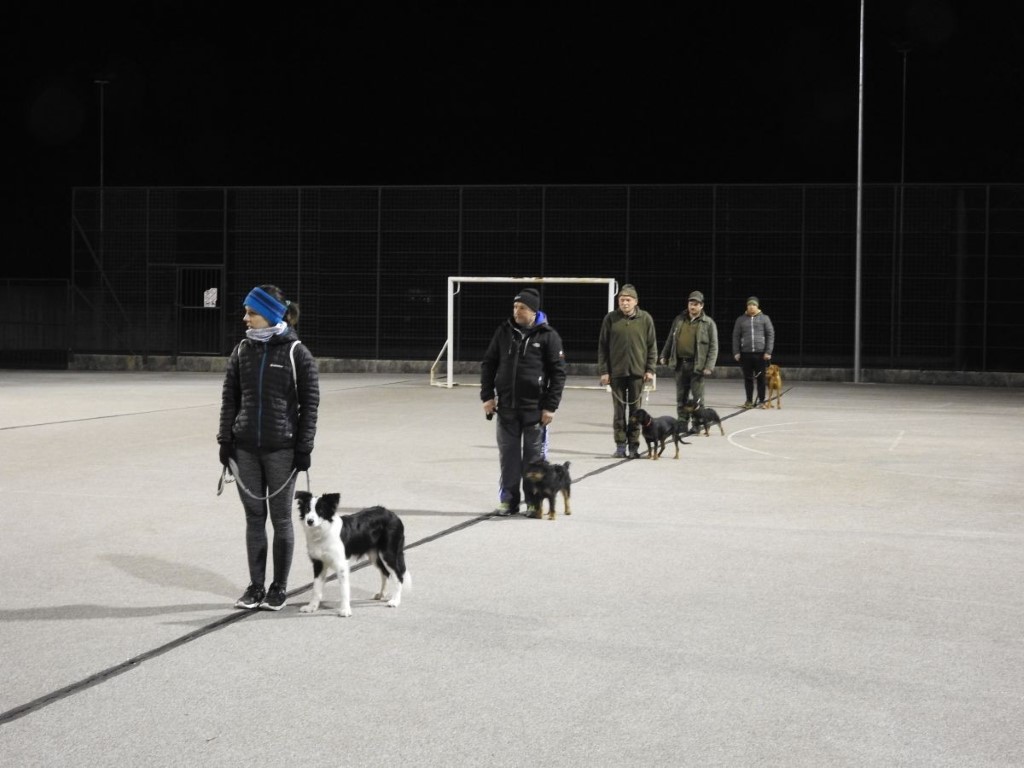 Tečajniki v Volčah napredujejo