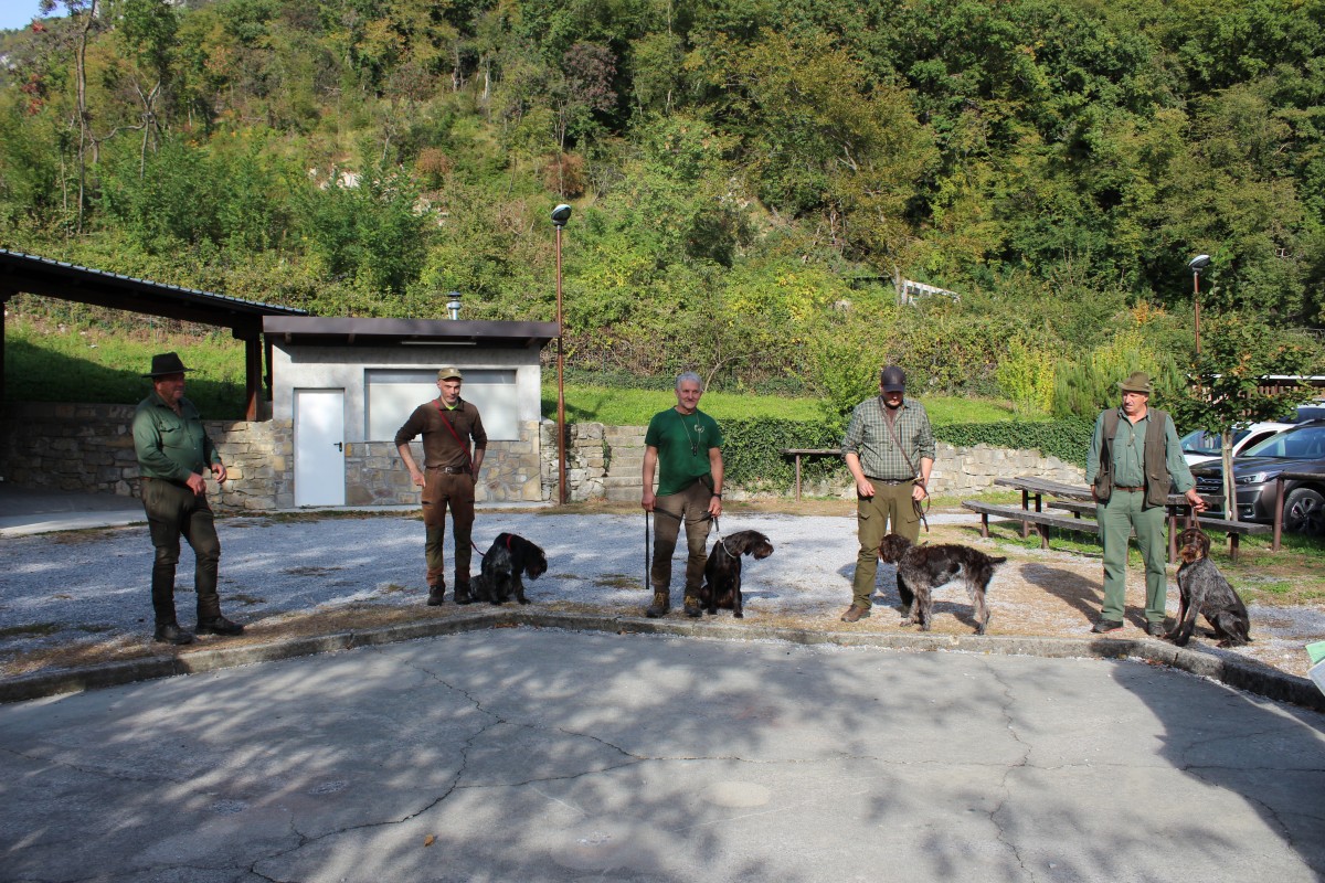JZP PTIČARJI V LD VOJKOVO IN LD HUBELJ