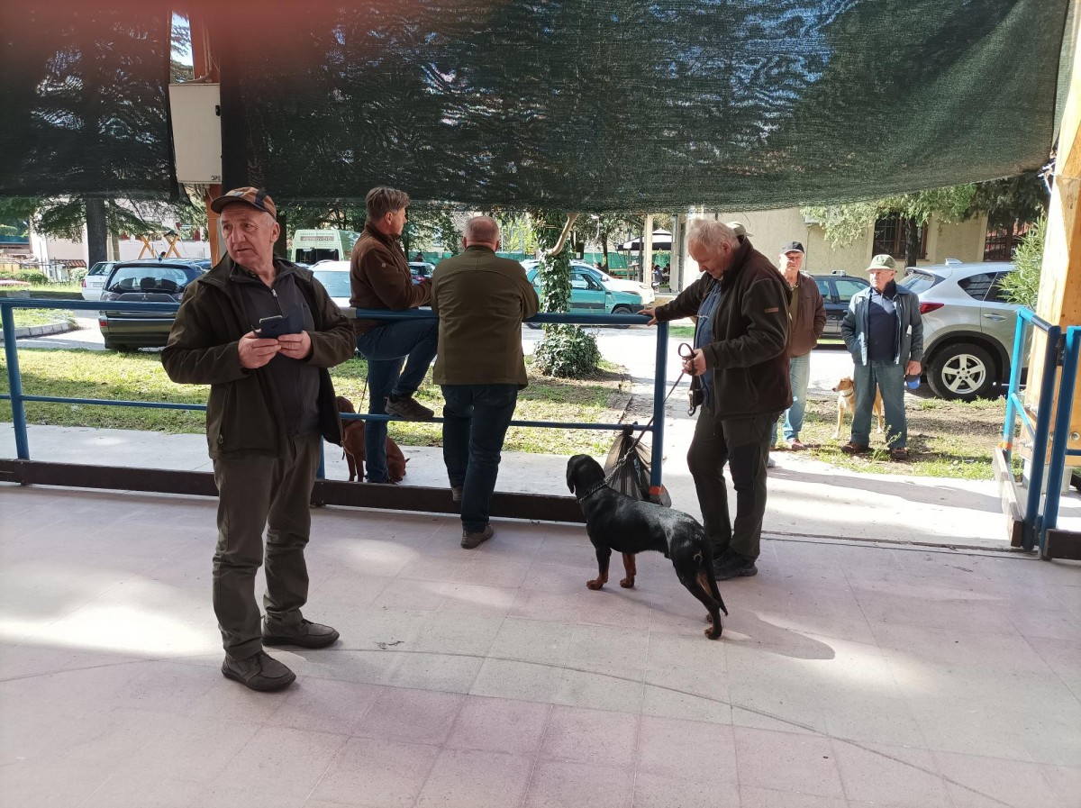 LKD GORICA-NOVA GORICA JE 01.04.2023 IZPELJALO OCENO ZUNANJOSTI VSEH PASEM LOVSKIH PSOV.