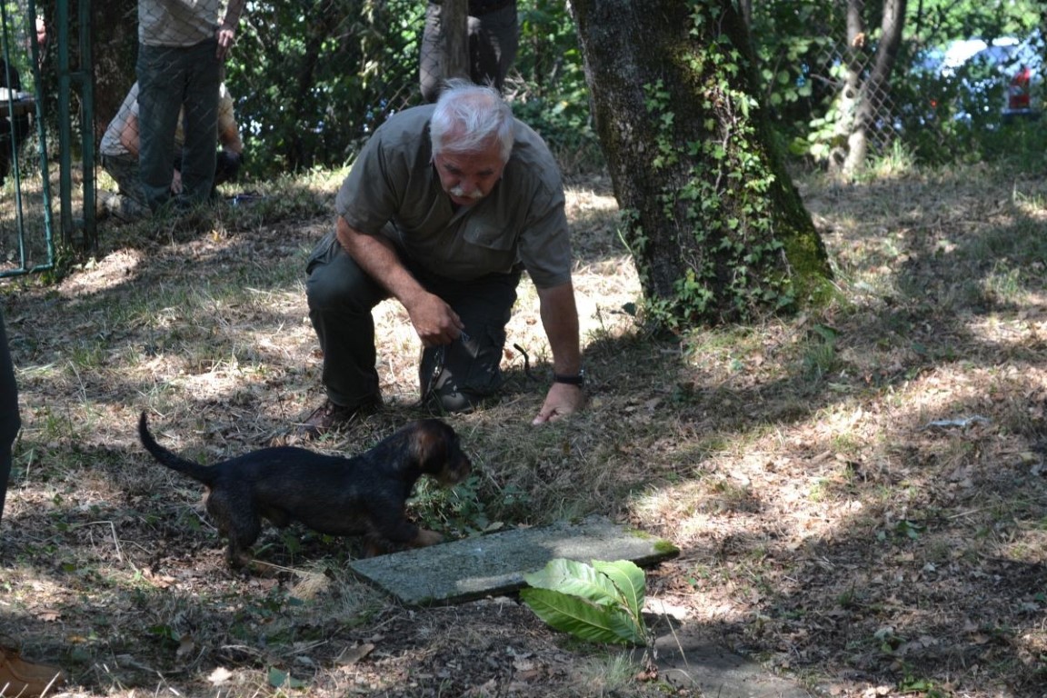 Tečaj za vodnike jamarjev