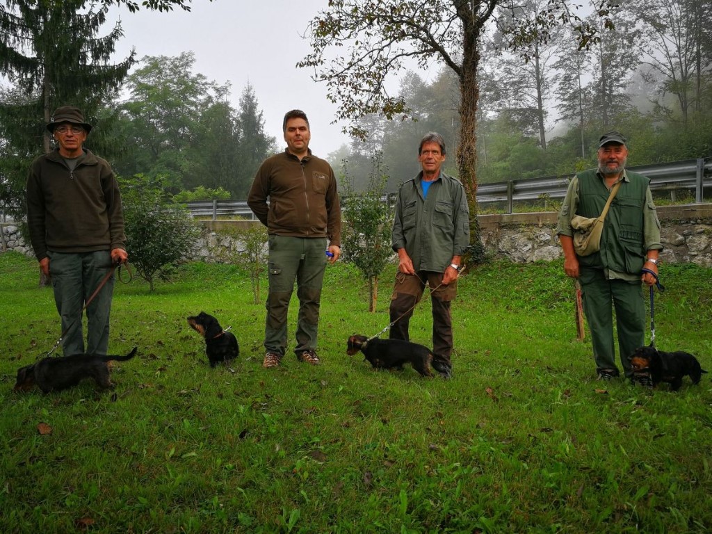 PNZ JAMARJEV V VOLČAH 