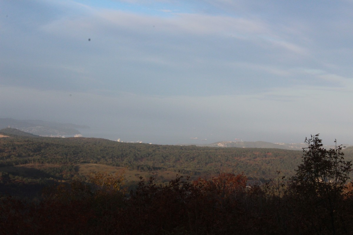 PNZ ZA GONIČE IN BRAK JAZBEČARJE  V LD VIDEŽ KOZINA