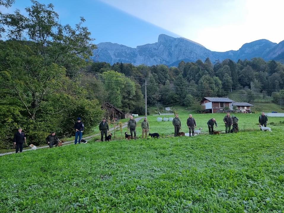 PNZ ZA GONIČE IN BRAK JAZBEČARJE V LD DREŽNICA